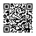 The Beanie Bubble - O Fenômeno das Pelúcias 2023 1080p WEB-DL DUAL 5.1的二维码