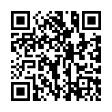 [Origin] Seitokai Yakuindomo S1 VOSTFR - Intégrale vostfr (BD 1920x1080 x.264 FLAC)的二维码