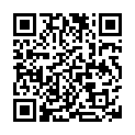 (ericfromabeno) Seitokai Yakuindomo 2 - 22v2 (OAD DVD).mkv的二维码
