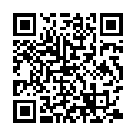 The Equalizer 3 (2023) [1080p] [WEBRip] [x265] [10bit] [5.1] [YTS.MX]的二维码