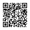 Despicable Me Minions Collection (2010-2017) 720p Dual Audio Hindi Eng + Mini Movies - KartiKing的二维码