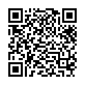 [NotNotRumbel] Gintama 166-176 [720p]的二维码